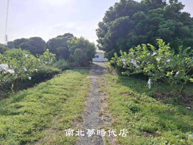 楠西農地-7