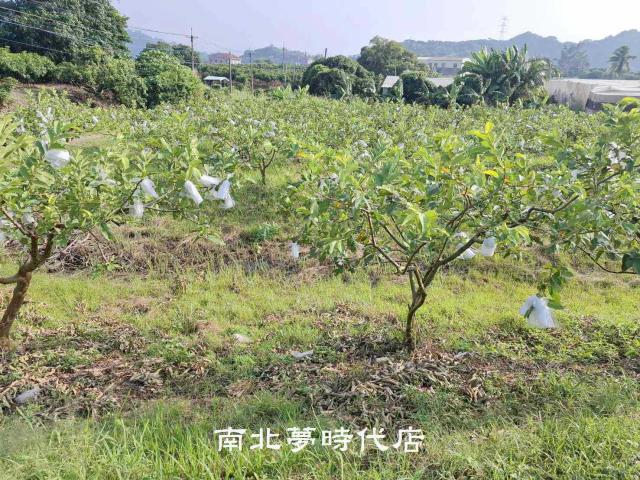 楠西農地-8