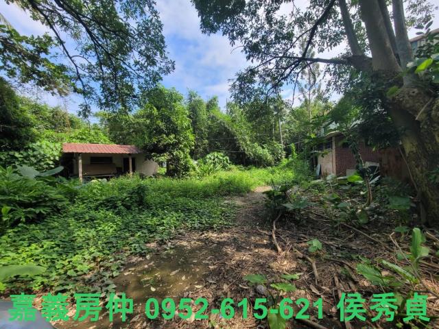 嘉義梅山農地-9