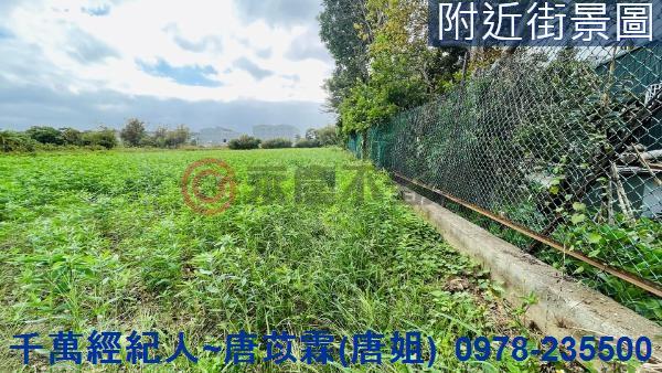 新竹新豐農地-3