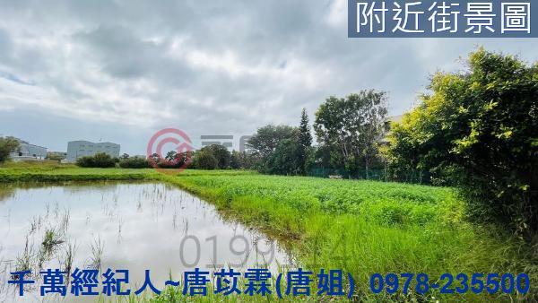 新竹新豐農地-4