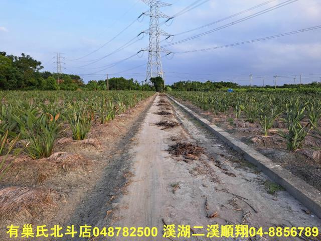 彰化農地-11