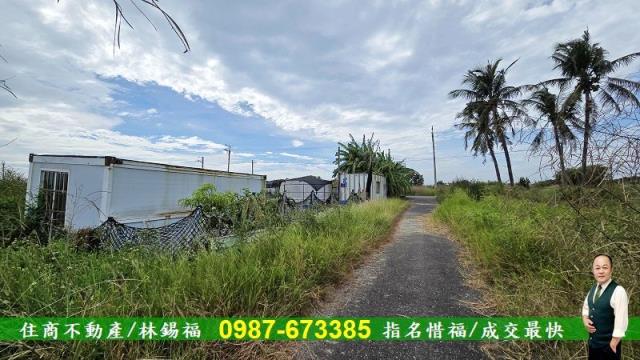 台南七股農地-8
