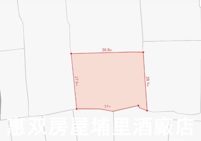 南投埔里農地-2