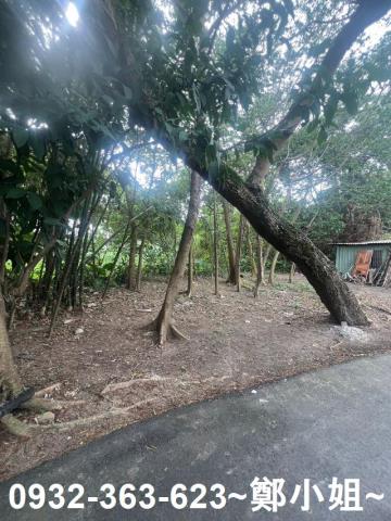 桃園八德建地-2