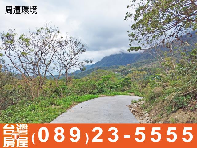 台東成功農地-9