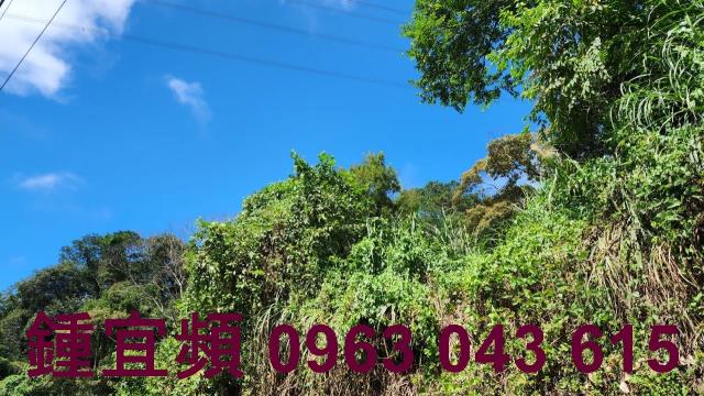 新竹芎林山坡地-3
