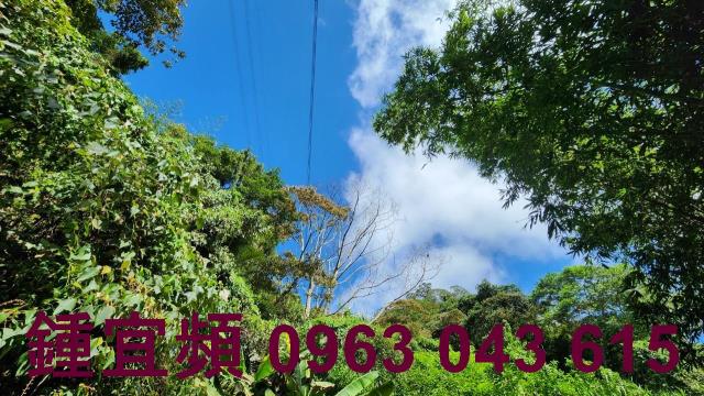 新竹芎林山坡地-4