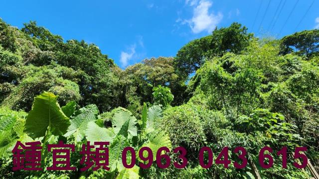 新竹芎林山坡地-7