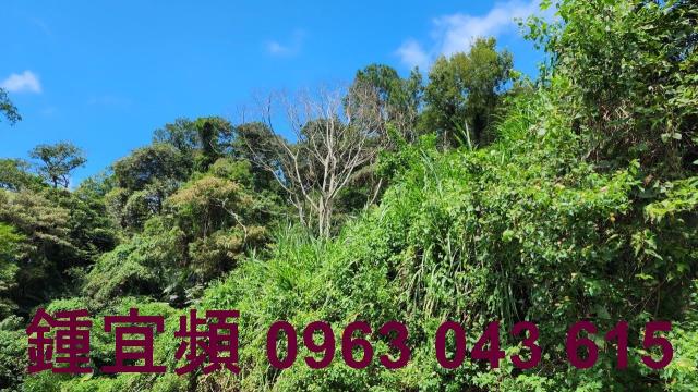 新竹芎林山坡地-9