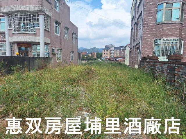 南投埔里建地-4