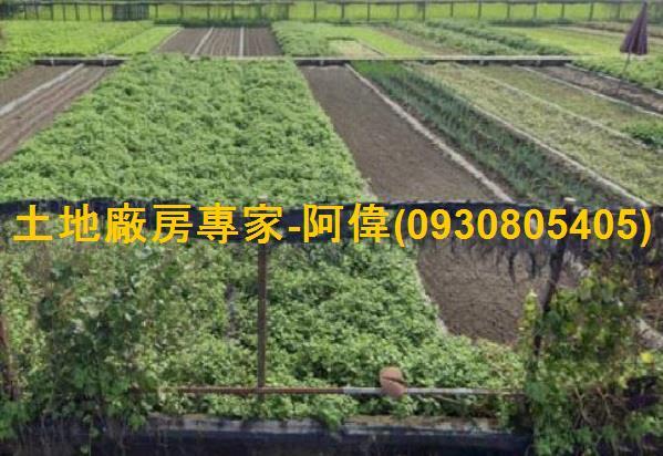 大寮農地-1