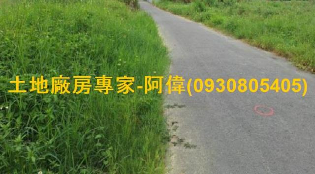大社農地-1
