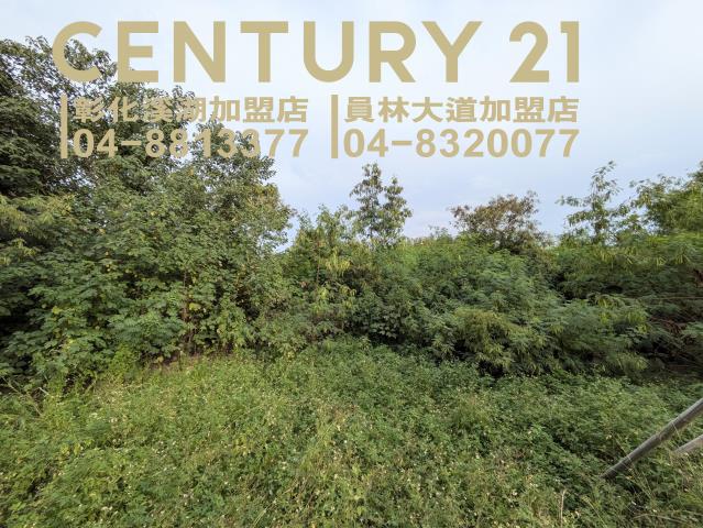 田中建地-1