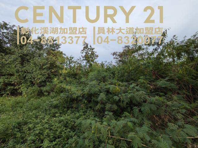 田中建地-6