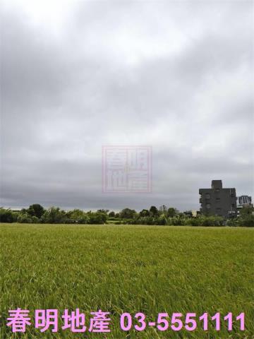 北區農地-3