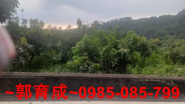 嘉義農地-10