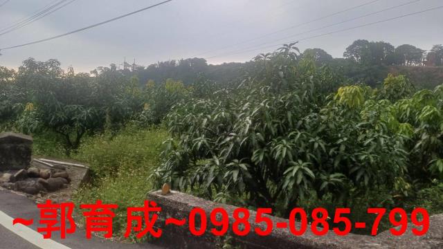嘉義農地-11