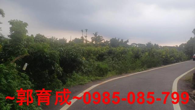 嘉義農地-12