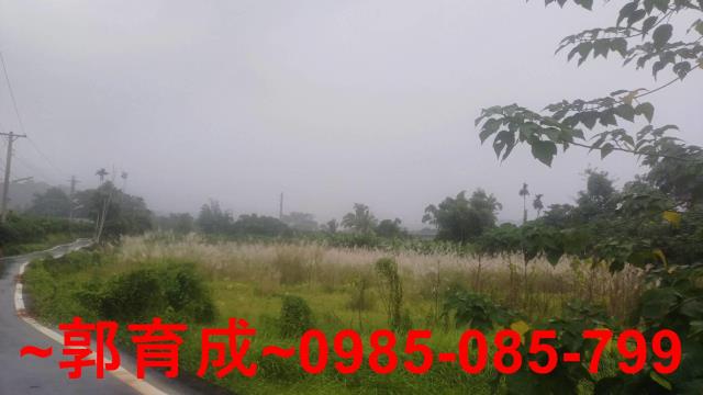 嘉義農地-3