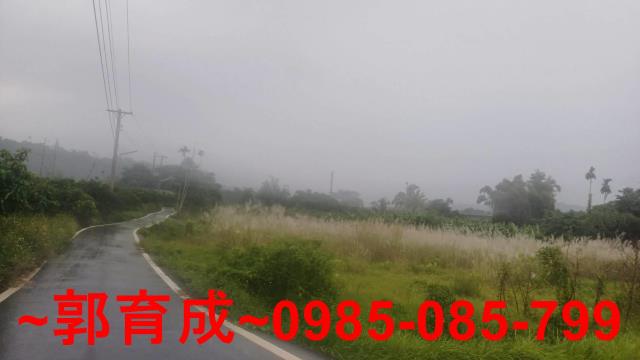 嘉義農地-4