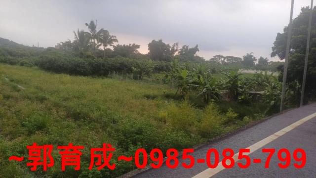 嘉義農地-8