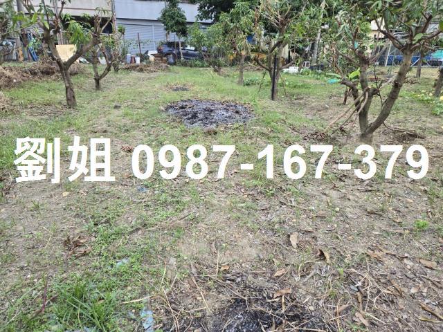 高雄農地-1