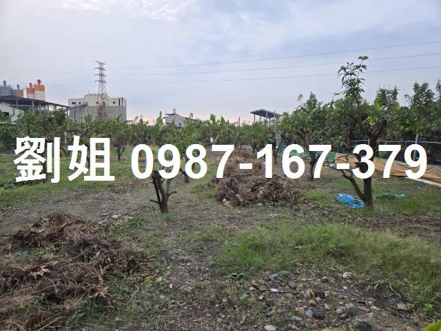 高雄農地-1