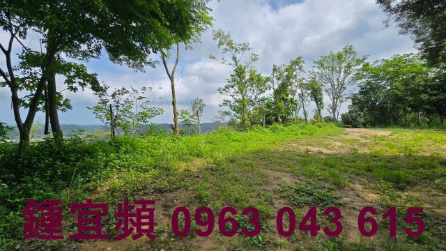 新竹農地-11