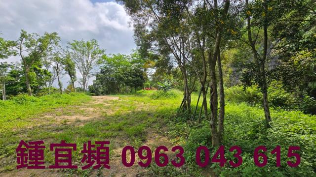 新竹農地-12
