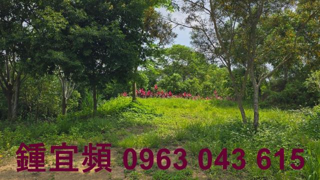 新竹農地-14