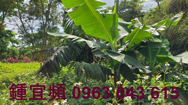 新竹農地-15