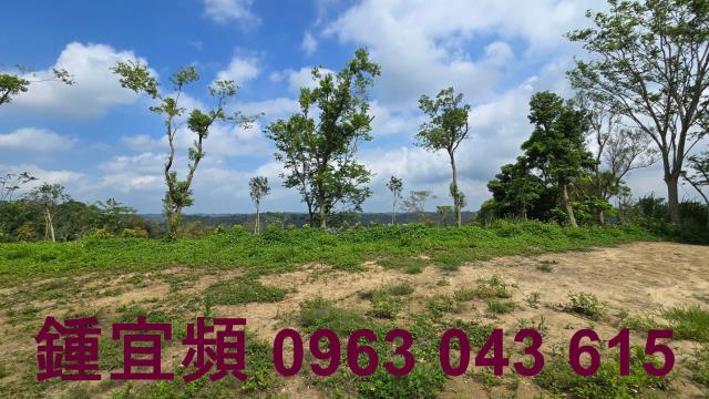新竹農地-2