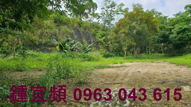 新竹農地-5