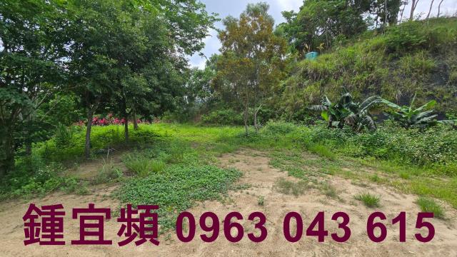 新竹農地-9