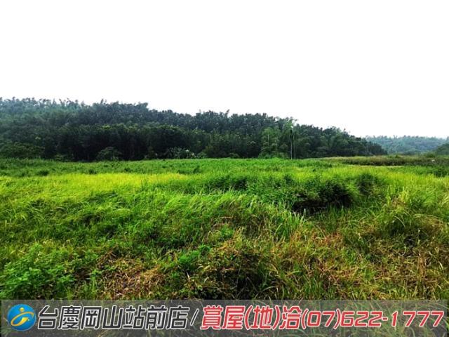 高雄內門農地-8