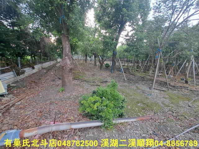 田尾農地-7