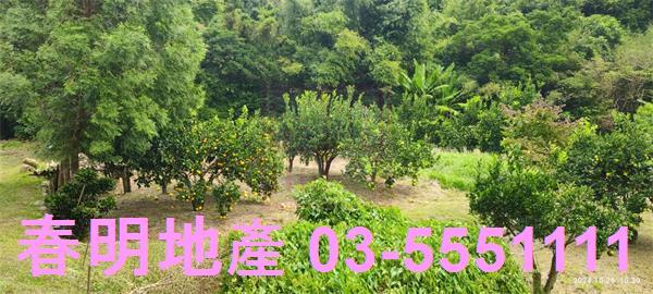 關西農地-1