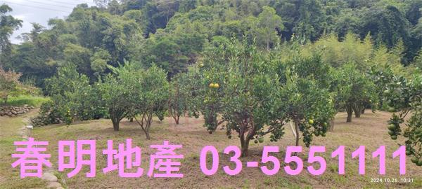 關西農地-3