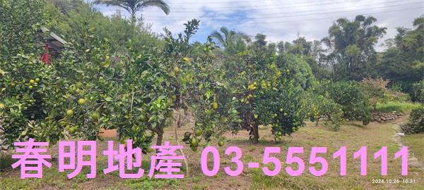 關西農地-4