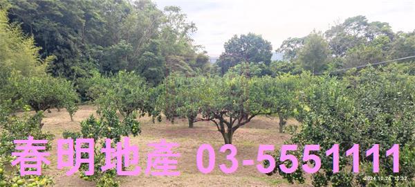 關西農地-5