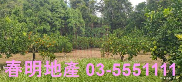 關西農地-6