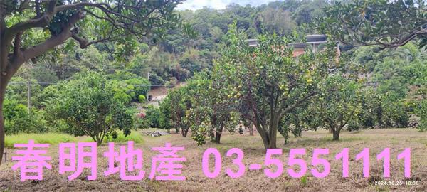 關西農地-8