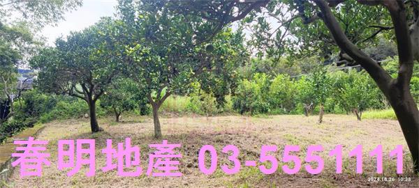 關西農地-9