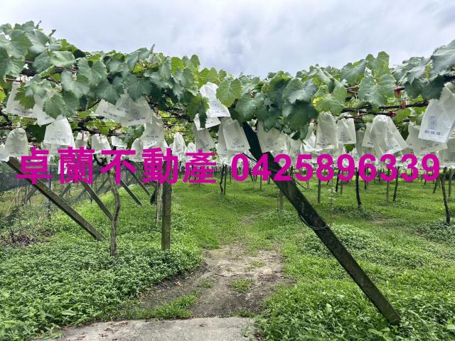 卓蘭農地-3