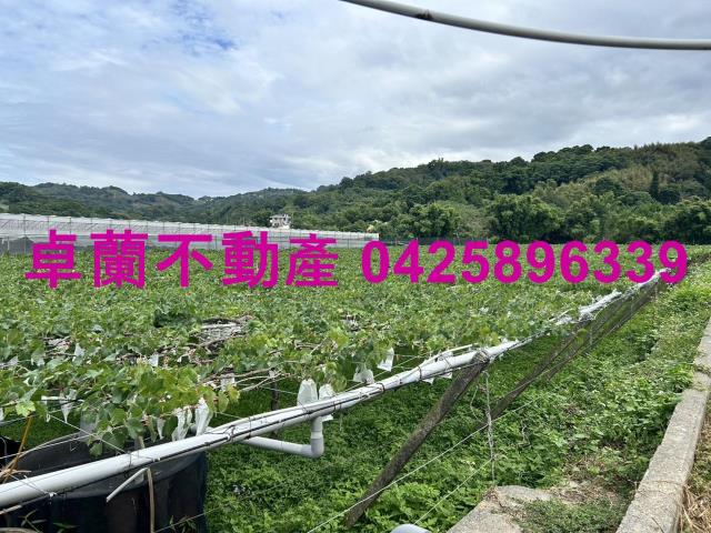 卓蘭農地-5