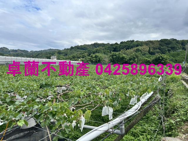 卓蘭農地-6