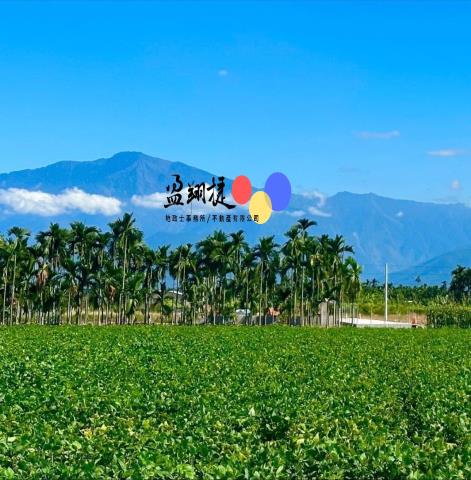 崁頂農地-2
