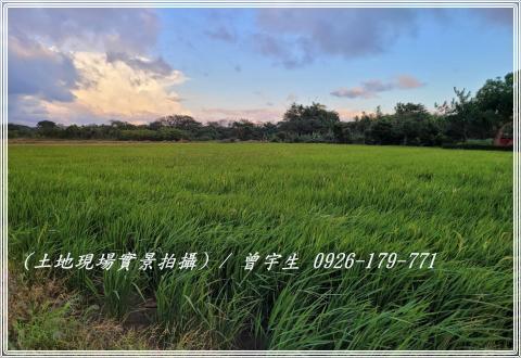 中壢農地-2