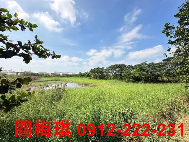 新市農地-11
